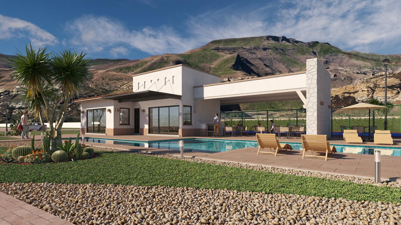 photo-1564501049559-0b54b6f0dc1b